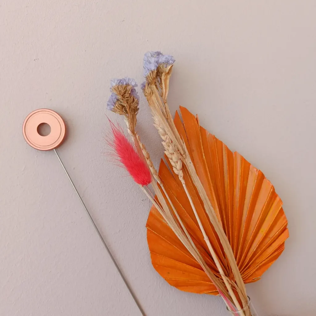 NEI therapie Alkmaar, Heerhugowaard en Bergen NH